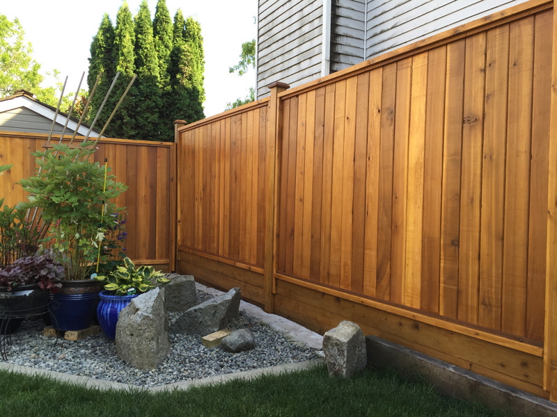 Cedar Fence & Yard Transformation